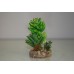 Vivarium Desert Plant With Rock Base 7.5 x 6 x 12 cms