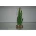 Vivarium 2 x Cactus With Rock Base 5 x 4 x 13 cms