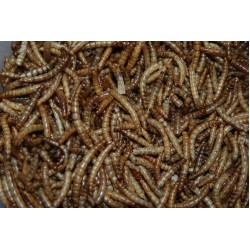Natural Insect Feeds