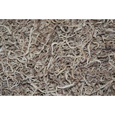 Soft Dried Earthworms Approx 80g