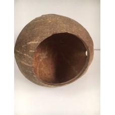 100% Natural Shell 1 Hole Hide Dry Secure Approx Size 10 x 10 x 9 cms