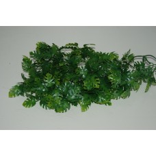 Large Amazonian Phyllo Plastic Plant approx 55 cms