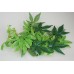 Exo Terra Small Abutilon Silk Plant approx 28 cms