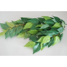 Exo Terra Large Ficus Silk Plant approx 55 cms