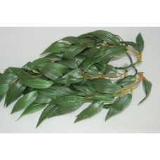 Exo Terra Large Ruscus Silk Plant approx 55 cms