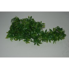 Papaya Canabis Style Leaf Hanging Vine Approx 45 cms