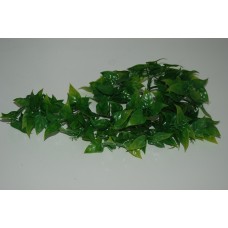 Small Mexican Phyllo Plastic Plant approx 28 cms