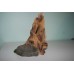 Reptile Old Root Feeder 14 x 13 x 17 cms