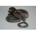 Reptile Rock Stump & Worm Dish 17 x 12 x 8 cms