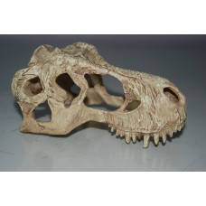 Vivarium Small T Rex Dinosaur Skull 13 x 7 x 6 cms 