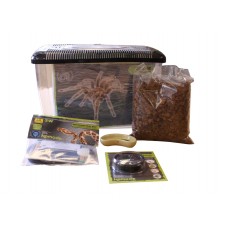 Komodo Complete Tarantula Spider Keeping Kit 39 x 25 x 24 cms