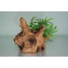 Small Driftwood Root & Plant 10 x 9 x 11 cms
