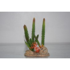 Vivarium Cactus & Flower With Rock Base 7 x 4 x10 cms