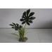 Terrarium Large Jungle Canopy Plant 11 x 8 x 40 cms