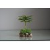 Vivarium Desert Plant With Rock Base 11 x 9 x 17 cms