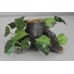 Vivarium Trunk Root & Silk Plant Decoration 16 x 13 x 7 cms