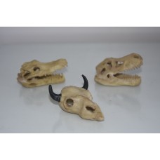 Vivarium Detailed Mini Skulls 3 Different Designs Approx Size 7 x 5 x 3 cms 2