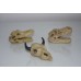 Vivarium Detailed Mini Skulls 3 Different Designs Approx Size 7 x 5 x 3 cms 2