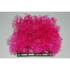 Aquarium Pink Aqua Mat 13 x 13 x 8 cms