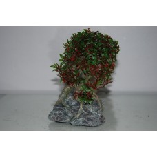 Small Bonsai Tree Green & Red 17 x 10 x 16 cms