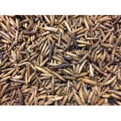 FMR Dried Calci Worms
