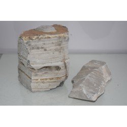 Vivarium Grey Melaeuca Thin Line Rock