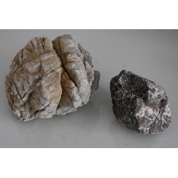 Vivarium Natural Lichen Rock