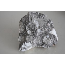 Vivarium Mottled Grey Rock