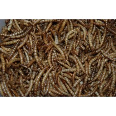 FMF Premium + Dried Mealworms 5 ltr Tub Approx 800g